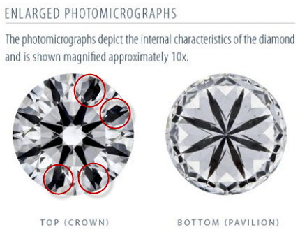 Blue Nile Enlarged Photomicrographs