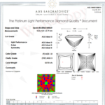 Princess AGS lab report with ASET