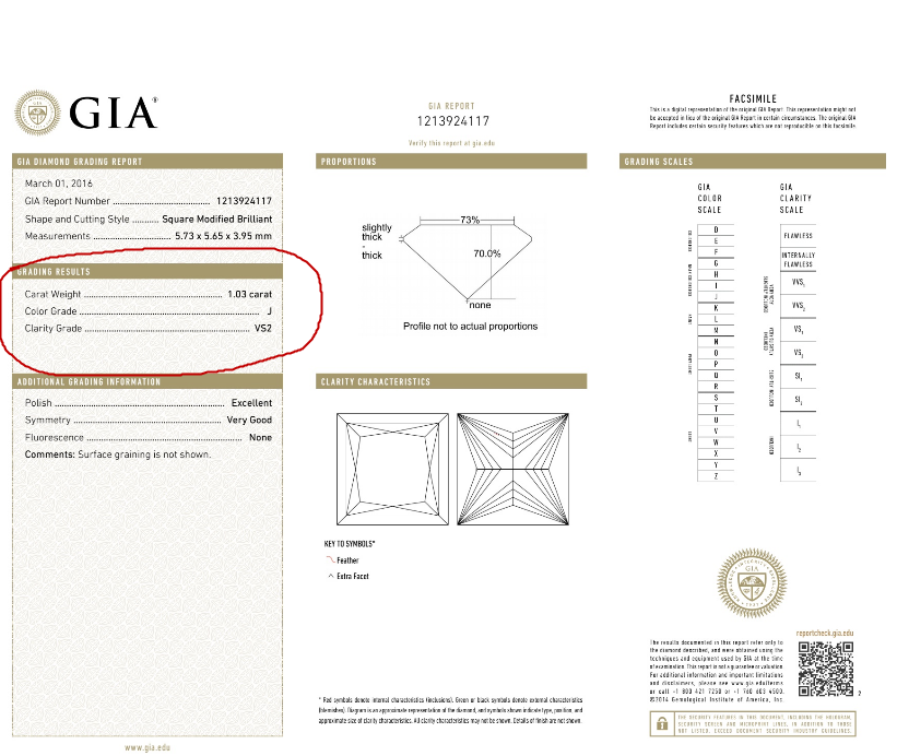 Princess Cut Diamond Lab Report GIA